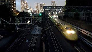 Dr Yellow Shinkansen, Shonan Shinjuku, Yokosuka, NEX, Sotetsu, & JR Freight. Video from Mifujibashi