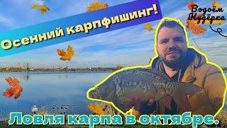 Осенний карпфишинг. Ловля карпа в октябре. Водоём Кудёрка.
