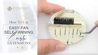 Beyelian Eyelash Extensions 101 | How to Use Easy-Fan Self Fanning Lash Extensions