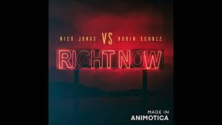 Nick Jonas, Robin Schulz - Right Now