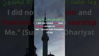 Echoes of Faith — One Verse at a Time #islamforyou #quotes #quranquotes