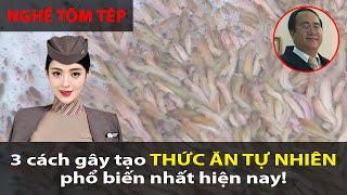 Hướng dẫn gây tạo THỨC ĂN TỰ NHIÊN cho tôm