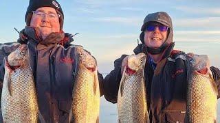 Whitefish Lake Simcoe 2023