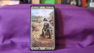 Cat Tarot Full Flip Through