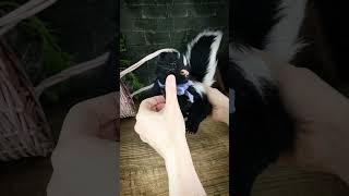 Baby skunk by Empiria Dolls