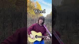 Welles OBLITERATES weed smoking Pt.2 #singersongwriter #country #folk #pot #song