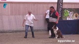 Qualification - Carina Mayerhofer + Gorgeous Gentleman of Silent Storm/Border Collie - Austria