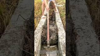 Drainage ditch cleaning: clearing the way for water flow