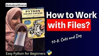 #74 Let's Code Python Crash Course | studywithnova