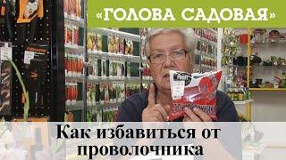 Голова садовая - Как избавиться от проволочника