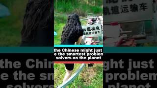 the Chinese might just be the smartest problem solvers on the planet #delicous #facts #youtube
