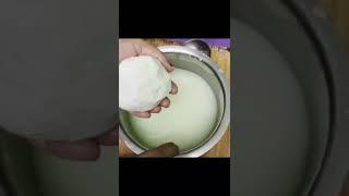 How to make a homemade mozzarella cheese!#Nutan’skitchen #shorts