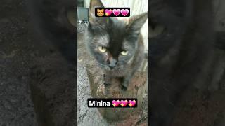 minina 