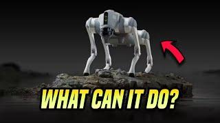 Exploring Robotic Capabilities: Unleashing the Power of Robot Dogs with Unitree's Insights