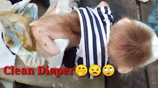 OMG, Baby MOnkey Maya Crying and Angry Mom Clean Her Diaper