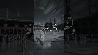 Alquran القرآن #quran#quran_alkarim Islamic video Shot onlinequran تلاوت قرآن پاک Islamicstorystatus