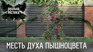 Месть духа Пышноцвета | Реальная мистика