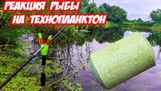 Технопланктон под водой Подводная съемка Реакция РЫБЫ