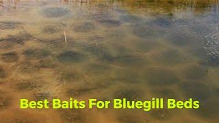 The Best Baits For Fishing Bluegill Beds