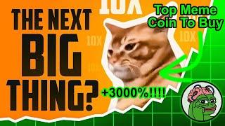 New Catslap Meme Coin NEW VIRAL HYPE!! Buy Now Next Pepe Unchained Meme Coin