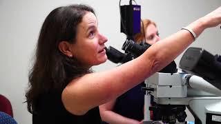 Pitt Dental Medicine's Alumni Connection