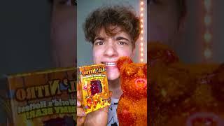 Worlds Spiciest Gummy bear VS Gaint Reaper Gummy bear