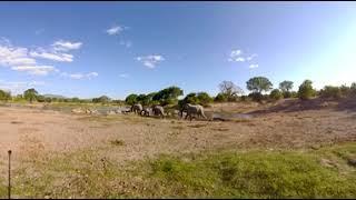 360 Video of Wildlife Film trip - Photos of Africa VR Safari