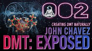 Kundalini Awakening, Endogenous DMT, 5-MeO-DMT | John Chavez | Far Out With Faust