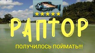 My fishing world | Ловил ламантинов, а тут...