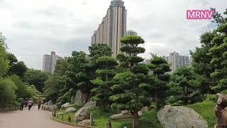 DIAMOND HILL HONGKONG BEAUTIFUL NATURE