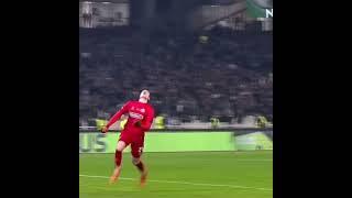 What a screamer‍