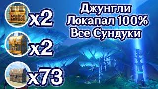 ДЖУНГЛИ ЛОКАПАЛ НА 100%,  ВСЕ СУНДУКИ И ЗАГАДКИ, СКРЫТЫЕ СУНДУКИ, СУМЕРУ НА 100%. | Genshin Impact