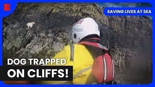 Stranded Hiker Saved by Brighton Lifeboat Crew | Saving Lives at Sea | Documentary