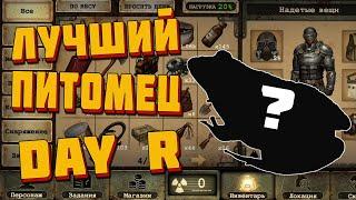 Лучший питомец Day r survival . Волк, ворон , песец или тыковка ?