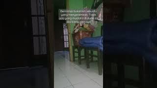 kata kata motivasi #2