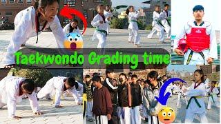 Taekwondo Grading (Sooryodaye Drangans Taekwondo Dojang Bhaktapur )