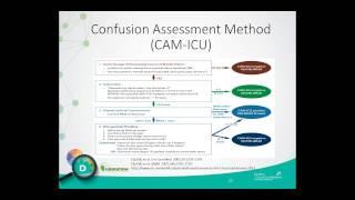 An Integrated Approach to ICU Delirium Assessment, Prevention and Management