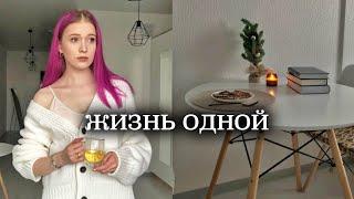 как жить одному? переезд от родителей: плюсы и минусы, мой опыт