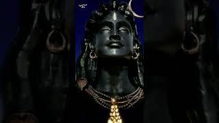 ami Kalo bole amai obohela koro na karon Tumi tomar Jai chok diye #har har mahadev #new #vairal rell