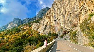 КРЫМ. Магия ЗОЛОТОЙ осени. СТАРАЯ дорога от Алупки до Форосса. Севастопольское шоссе. Весь путь