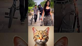 dangerous moment  #cat #meme #dance #trending