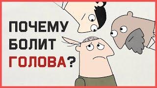 Edu: Почему у нас болит голова