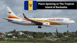 20 Minutes of Plane Spotting at The Tropical Island of Barbados in The Caribbean (4K)