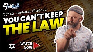 5 Minute Torah: Shelach | Guilty of One. Guilty of All?