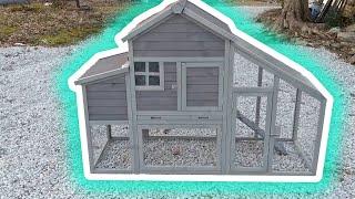 Review of Aivituvin Chicken Coop!