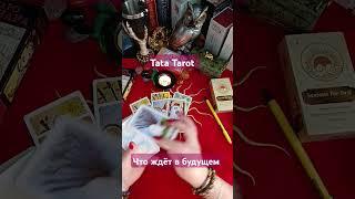 Что Вас ждёт в будущем  #таро #tarot #эзотерика #обряды #минск #тароонлайн #гадание #гаданиеонлайн