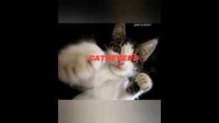 Catrevers for