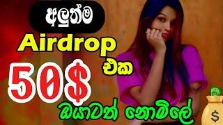 How to E Money Earn Sinhala - paws Crypto Airdrop - Crypto Airdrop Sinhala