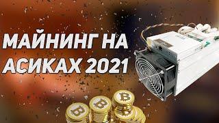 МАЙНИНГ на АСИКАХ в 2021. Какой асик купить? ДОХОД и окупаемость в майнинге