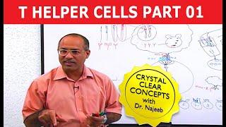 T Helper Cells | Immunology | Part 1/10